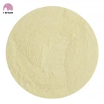 Dehydrated bulk garlic powder for cooking 80~100 mesh