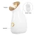 Import Desktop Handheld Portable Spa Steamer Face Steamer Nano Facial Steamer with lamp for Lady Use from China