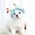 Import Dog Cat Birthday Hat 2023 Hot Sale Fashion Comfortable Soft Cute Funny Pet Apparel Accessories from China