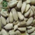 Dried Black Striped Sunflower Seeds and Kernels Big Size Price