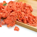 Dried Vegetable dried Dehydrated carrot snacks Chips