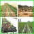 Import drip irrigation kit and automatic farm drip irrigation systems with lower price from China