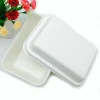 eco-friendly biodegradable disposable dinner sugarcane bagasse meat tray with lid