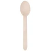 Eco-friendly Wooden Disposable Spoon And Fork Set
