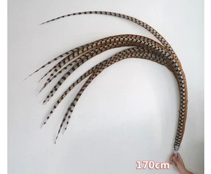 Factory direct sale high quality and cheap Long Natural Reeves Pheasant Feathers