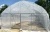 Import Factory direct supply single-span uv plastic for greenhouse from China