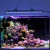 Factory OEM/ODM  Blue/White/Green/UV LED Aquarium Light Bar for Coral Reef