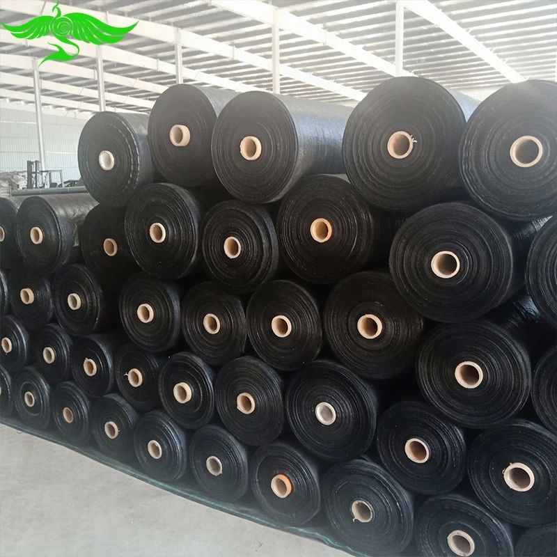 Factory Supply Agriculture Plastic Grass Cloth Wallpaper Anti-Weed Net Ground Cover Weed Control Mat