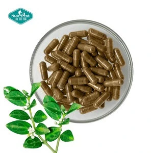 Factory Supply Supplements P.E. Gymnema Capsules for Weight Loss