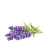 Import Flavours and Fragrances Oil Wholesale Bulk  Pure Lavender Essential Oil from China