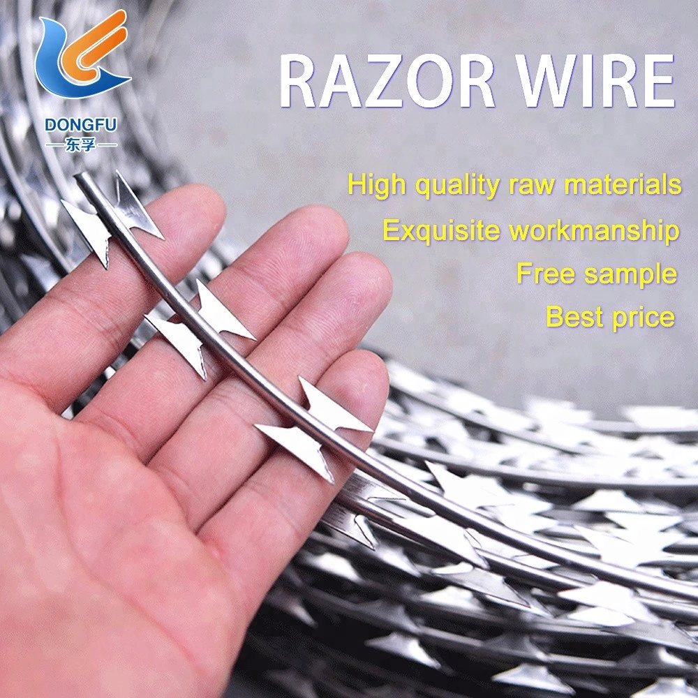Free Sample Galvanized Concertina Razor Wire Price