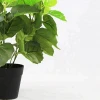 Free shipping 25pcs/ctn small artificial plant bonsai with pot for indoor decoration