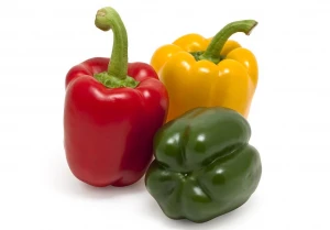 Fresh color capsicums / bell pepper / green color red bell pepper
