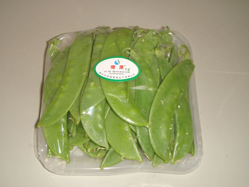Fresh Cucumber Continental Natural Garlic Bulbs Beans Green Pre Pack PVC PE stretch film