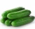 Import Fresh egyptian Cucumber high quality from USA