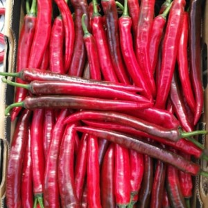 Fresh Hot Chili or Thai Pepper Premium Quality and Fast Shipping
