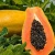 Import Fresh Papaya Fresh Papaya Cube Organic Papaya Fresh For Sale from China