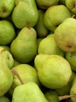 Fresh Pear