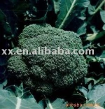 Frozen Brocoli