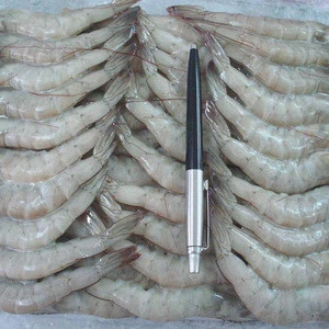 Frozen Penaeus Vannamei Shrimp