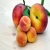 Import frozen style fresh apricot Cherry Fruit from Germany