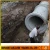 Import FRP Fiberglass Cable Protection Pipe, GRP Extruded Pipe from China