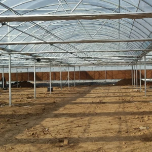 galvanized light steel structure frame multi-span tunnel green house made in China