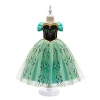 Girls Princess Green Cosplay Fancy Party Dress Costume