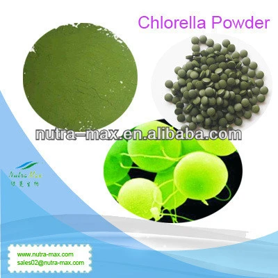 GMP Factory Supply Chlorella Powder in Bulk