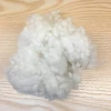 Good quality 6D hollow conjugated recycled polyester staple fiber