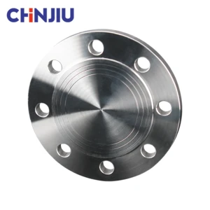 GOST 12836 PN16 PN10 Forged Stainless Steel 304 321 316  Blind Flange