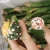 Import Grafted cactus Mini Cactus Succulent Plants indoor plant Astrophytum asterias variegata cactus from China