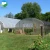 Import Greenhouse structure commercial/agricultura polycarbonate greenhouses green house from China