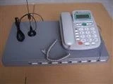 GSM/CDMA fixed wireless terminal with one number unified function