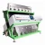 Import High performance 6 Chute RGB Tri-chromatic Grain Color Sorter from China