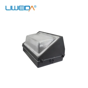 High Power housing die cast aluminum  Ip65 High Temperature Resistant Led  Light 100w led outdoor wall light