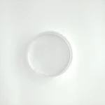 High quality 90*15mm plastic petri dish single room