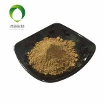 High quality Asarum sieboldii/asarum/Herba Asari Extract  for Health product supplement