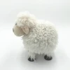 High quality crafts home decoration accessories animal products round plush lamb ornament white small sheep decor