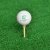 Import High Quality Direct Factory Wholesale wooden Golf Tees from China