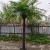 Import High Quality Palm Artificial Coconut Tree for Park from China