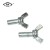 Import High Quality Wing Bolts Wing Screws with Edged Wings from China