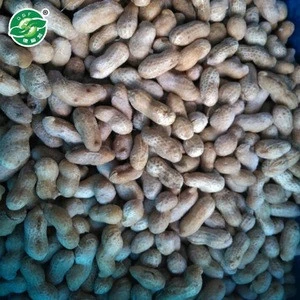 highest quality service delicious wholesale organic raw frozen peanuts in shell
