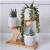 Home Office Desk Garden Mini Cactus Pot 3 Tier Bamboo Saucers Stand Holder