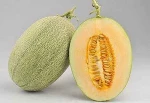 Honey Melon