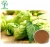 Import Hops Extract powder / Humulus Lupulus Extract/hops extract from China