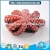 Import Hot sale wholesale frozen chuka tako octopus price from China