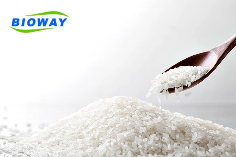 Hot sell 100% natural factory supply wholesale price organic rice protein powder