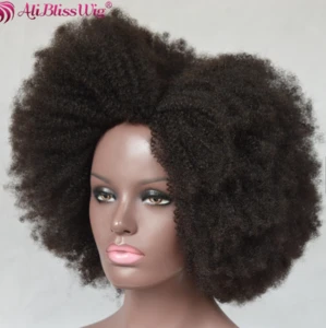 Afro Kinky Curly Wave Natural Color 100% Human Hair Braided Wigs For Black Women