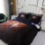 Import Hot Selling Good Quality Comfortable Bedding Bedspreads Microfiber Quilt Cover from China
